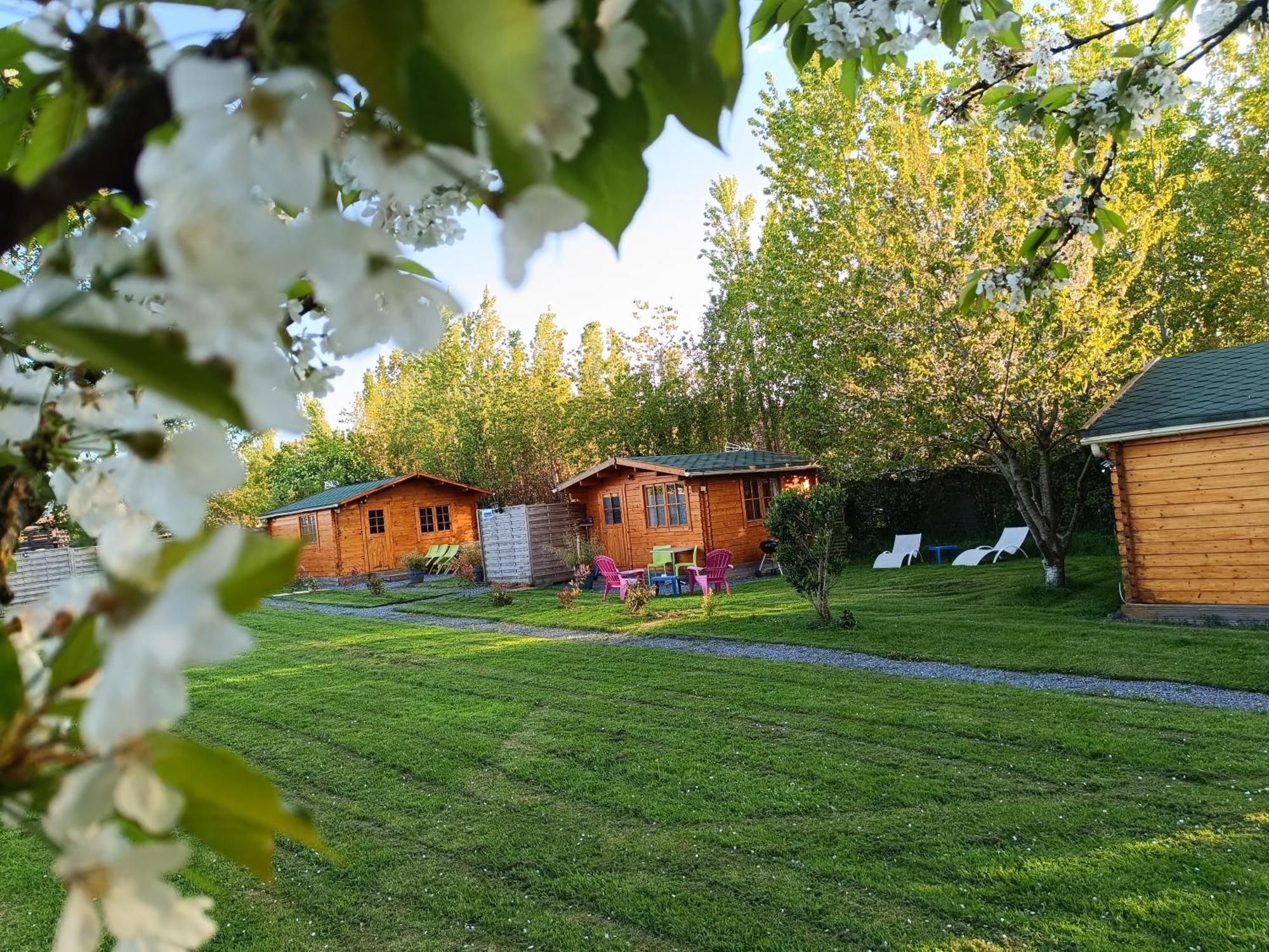 Gite Les Chalets Du Fliers Verton Meubles De Tourisme Classes 2 Etoiles Berck Habitación foto